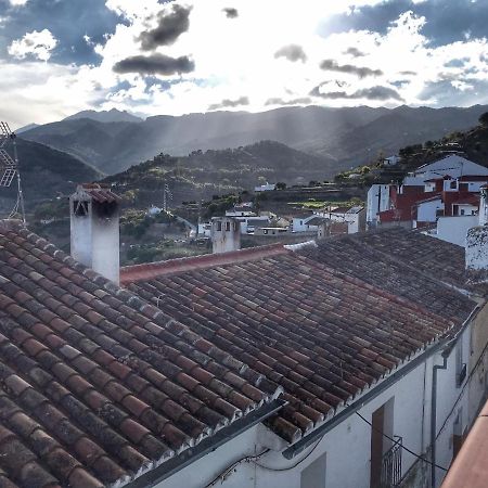 Casa Juncaria Villa Yunquera Dış mekan fotoğraf